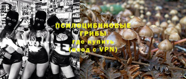 прущие грибы Абдулино