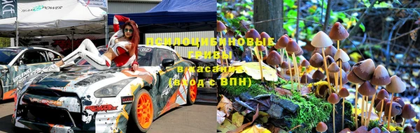 индика Алзамай