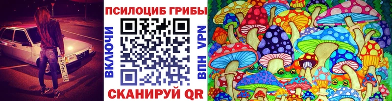 omg ссылка Элиста Галлюциногенные грибы Psilocybe